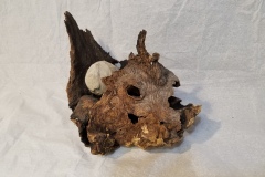 animal-with-stone-head