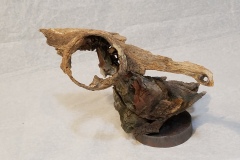 bird-lamprey