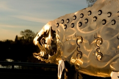 golden-fish